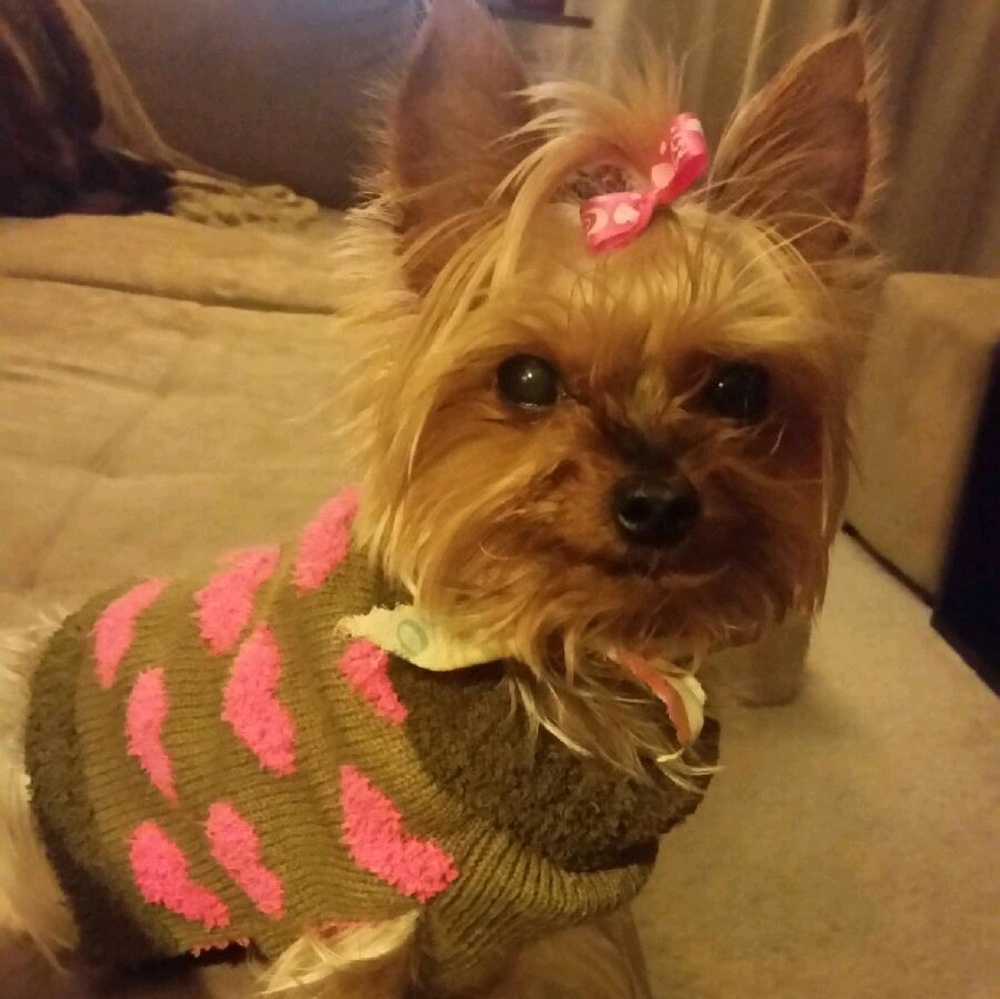 Meet your Posher, Roxy